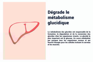 PESTICIDES DEGRADE METABOLISME GLUCIDIQUE