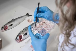 Laboratory Tests in fish