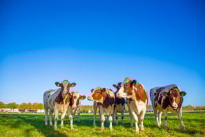 Gerer + Agriculture Habay
