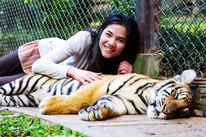 a woman is laying down on the ground besides tiger