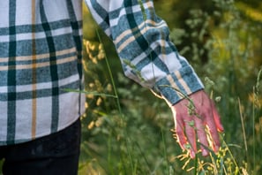 a person runs their hand through the grass