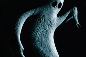 the ghost in the machine