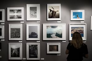FM Landscaping Gallery