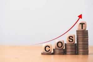 High cost of development that burns a hole through your pocket