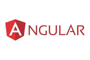 expertise in angular technology