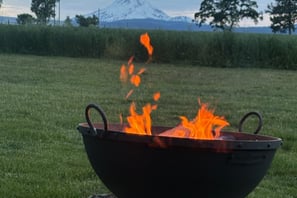 a fire pit with a mountain in the background
