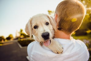boy holding puppy who looks at camera over boys shoulder