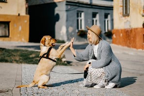 Woman and dog crouched on street high fiving each other