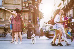 a dog looking at camera on street surrounded by people walking