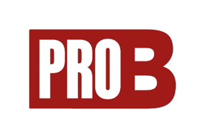 Lien vers les statistiques du championnat de Pro B