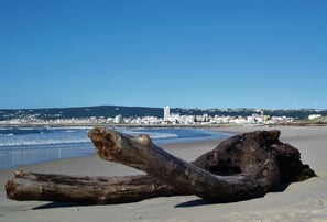 Front de mer à Figueira da Foz Portugal