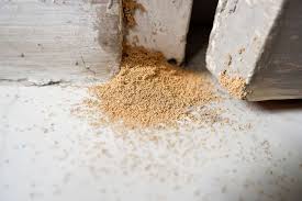 Wood Borer Pest Control Service