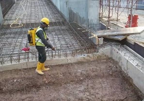 Anti Termite Pest Control Service