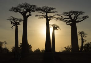 Viaggi in Africa fai-da-te