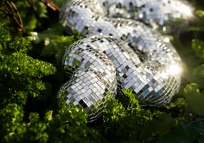 Disco Squigglies - Bruna Souza