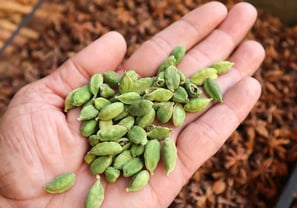 Premium Quality Green Cardamom (Elaichi) Supplier and Wholesaler in Siyaganj Indore – Sampurnaa Ente