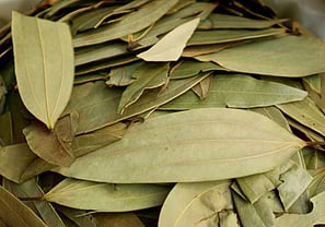 Premium Quality Tej Patta Supplier and Wholesaler in Siyaganj Indore – Sampurnaa Enterprises