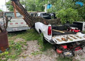 Tree fell and Wrecked truck  Sept 2024