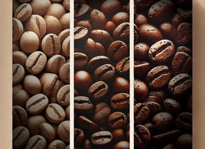 Röststufen - Kaffeebohnen von hell bis dunkel