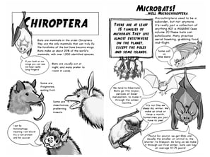 2 page spread from "Bats! Volume 1"