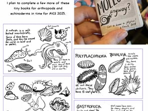 "What are Molluscs Anyway?" Mini zine