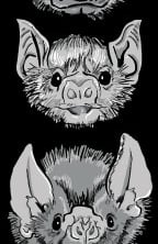 Vampire Bat sicker with text "Actual Vampires"