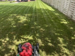 Entretien de jardin