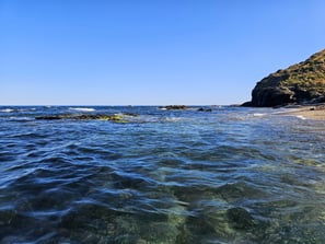 Breathtaking Boat Trips