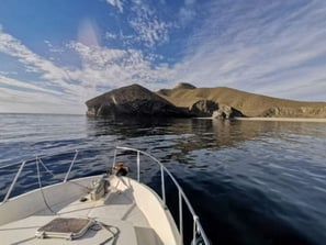 Breathtaking Boat Cruise Almeria