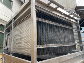 Plate Ice Plant