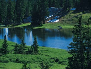 a view of the nature near a lake