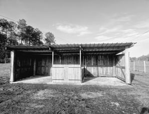 abri des chevaux en pension