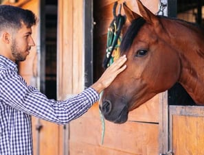 An autistic adult male patting a horse