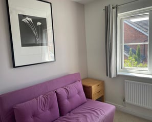 Room with muted colour walls and lilac sofa