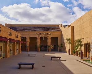 Netflix Egyptian Theatre Hollywood Movie