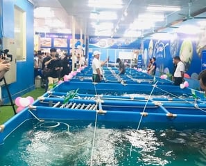 bể koi kinh doanh