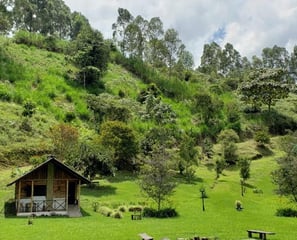 Perfect Home Inmobiliaria Pereira