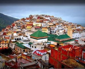 a hill top view of a city with a green roof