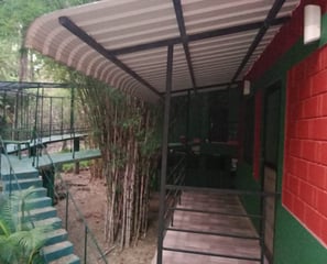 Bamboo Planet