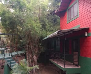 Bamboo Planet