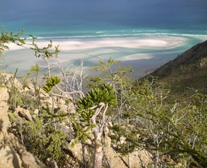 qalancyah socotra