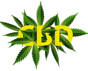 cbd for sale in malta