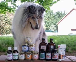 meilleurs compléments pour chien