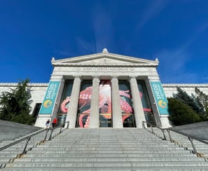 Shedd Aquarium in Chicago, a white neo classical building with columns