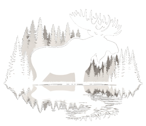 a moose moose moose moose moose moose moose moose moose moose moose moose moose moose moose