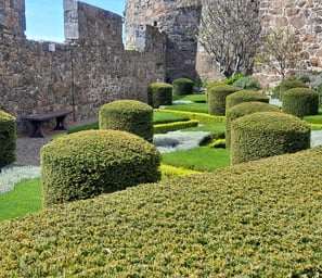 Garden of shrubs