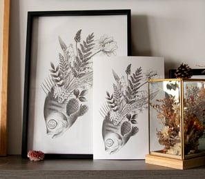 cadres illustrations poisson bouquet