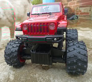 Jeep Rubicon con gato a un lado