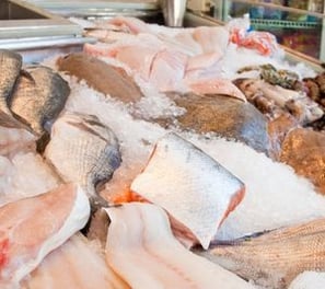 a bunch of fish in a display case