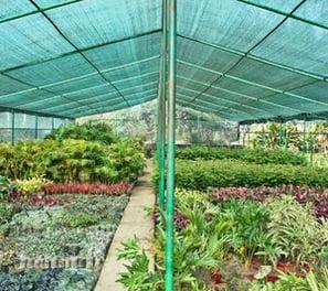 a greenhouse with plants and a green roof
